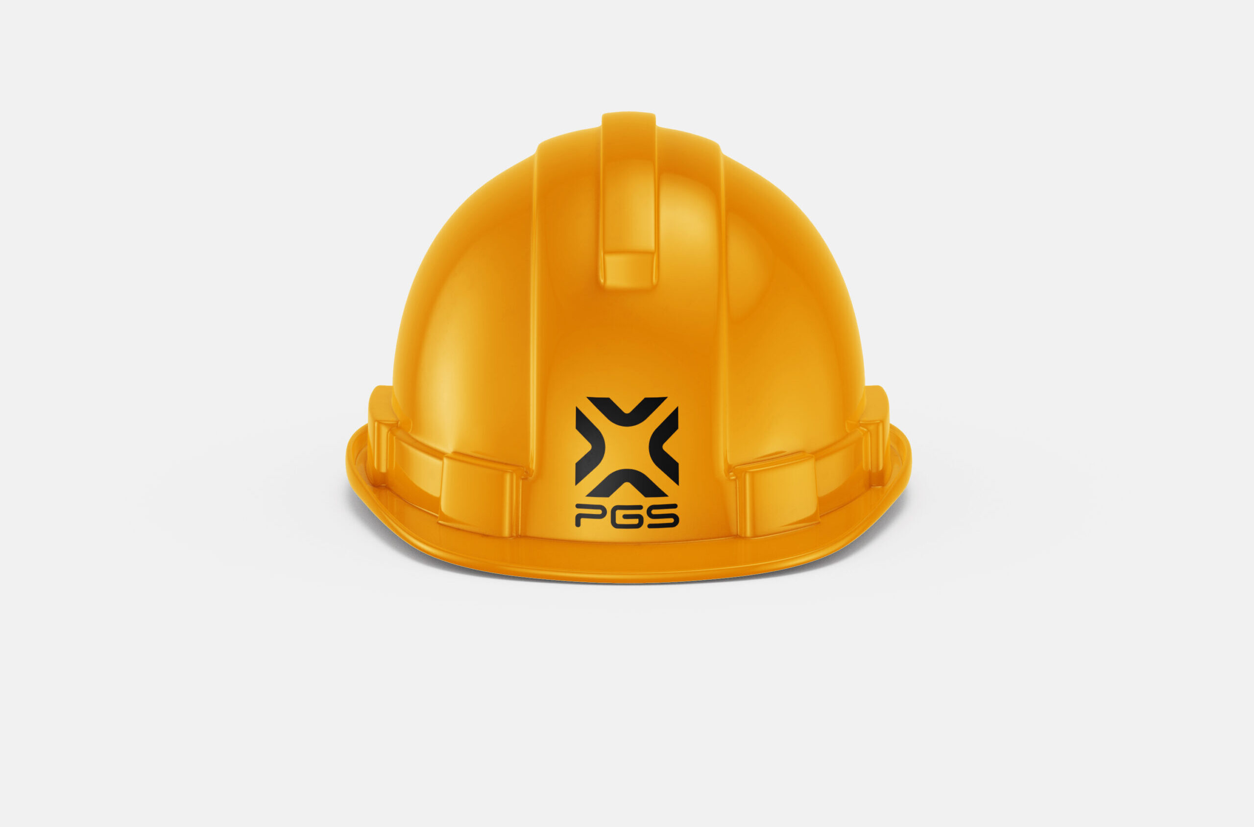 Rebranding PGS – Nowe Logo